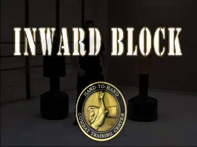 Hand to Hand Combat Training System Level 1 Part 1 Blocks, Strikes, Kicks
