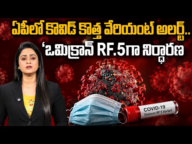 AP Corona Alert : Rising COVID-19 Cases | New Omicron Variant RF.5 | Symptoms & Precautions