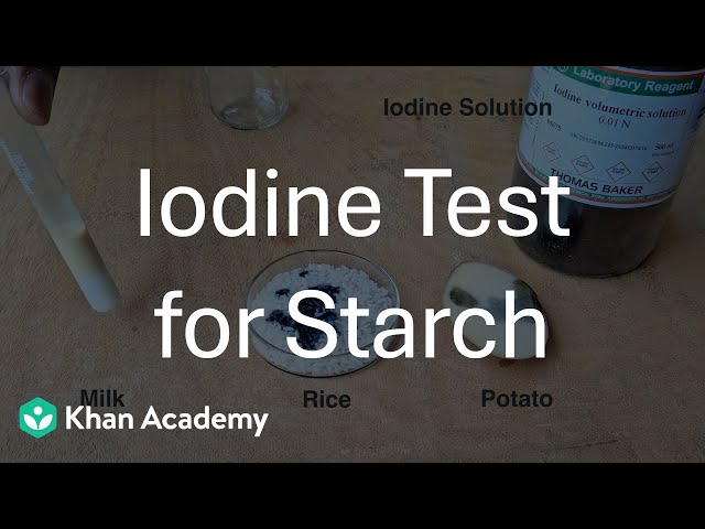 Iodine Test for Starch | Mindful Eating | Middle School | Science | Khan Academy