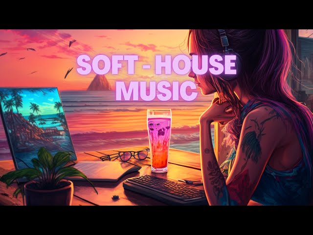 Soft - House Music for programming #1
