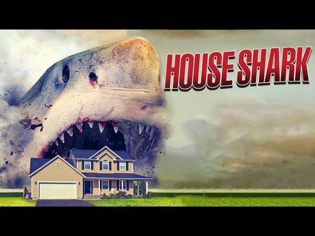HOUSE SHARK / MUSIC VIDEO