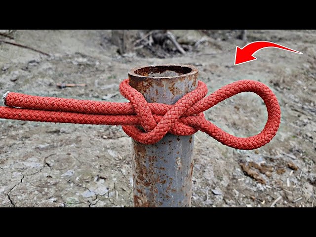 The Only Knot You Need for Camping & Life!