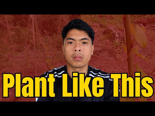 I Planted Ube — Here's What Actually Happened (Tagalog)