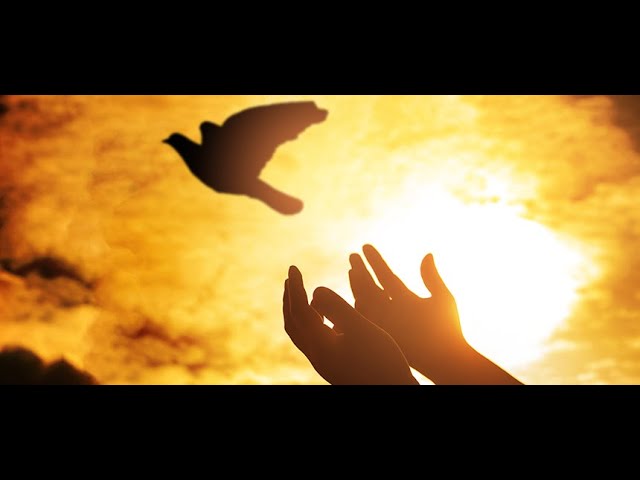 ESPIRITU SANTO DE DIOS / Adoración
