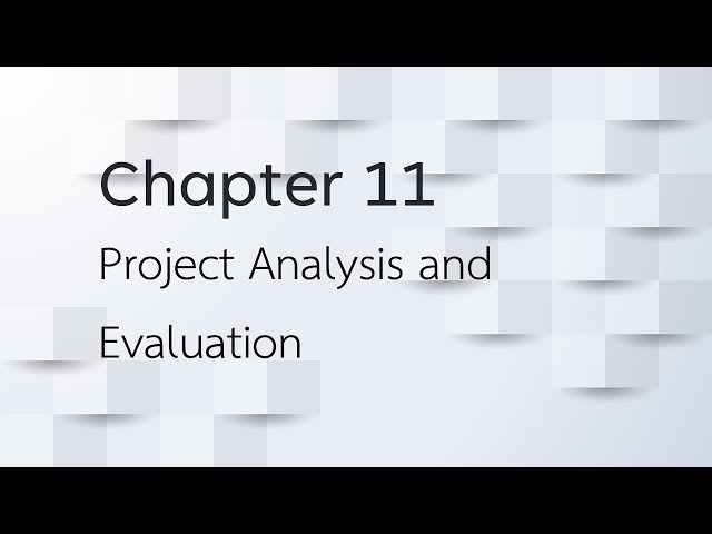 Project Analysis and Evaluation