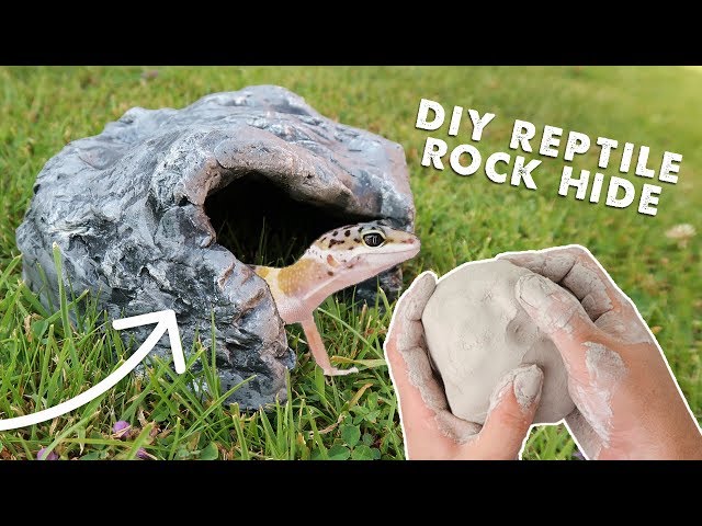 Making A Reptile Hide From Clay | DIY Rock Cave Tutorial