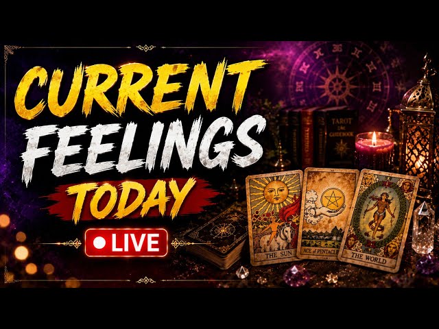 current feelings today |collective reading |timeless reading| tarot card reading