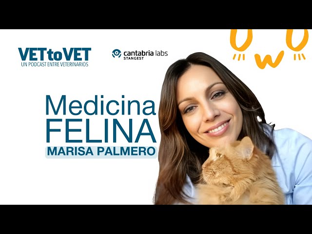 Feline Medicine 🐈 | Marisa Palmero | Vet to Vet E4