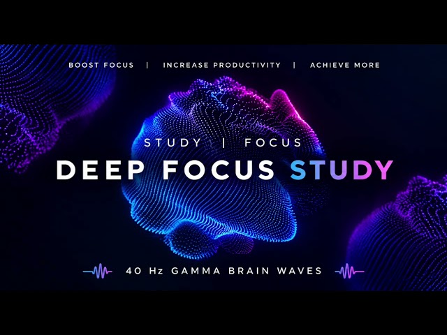 Deep Focus Study Music 🎧📚 | Relaxing Music for Studying, Focus & Productivity