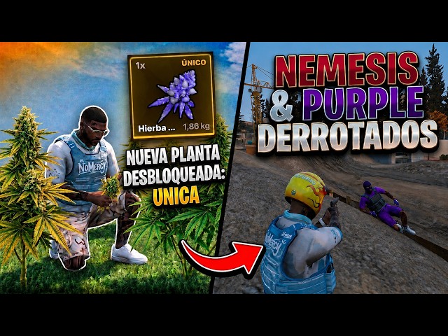 CONSIGO LA M4RIA MAS RARA del SERVIDOR y GANAMOS a la NEMESIS y PURPLE en MESA ARMAS | FAMILY RP