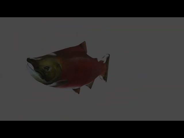 FISH (turn on subtitles)