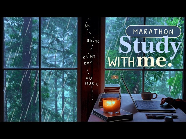 8 HOUR STUDY WITH ME Marathon 🌧️ / Rainy Day In The Forest 🌱🐌 / Rain on Roof / No Music / 50-10 🕯️