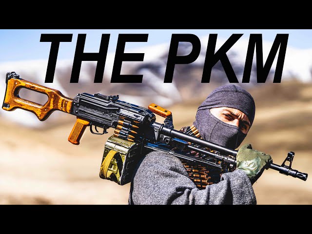 I Get SHOT at by PKM for FUN