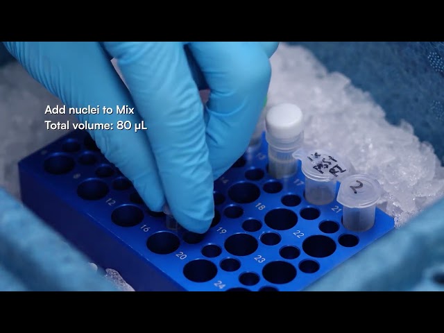 SeekSpace™ Single Cell Spatial Transcriptome How-to-video—07- Chip Loading & Droplet Generation
