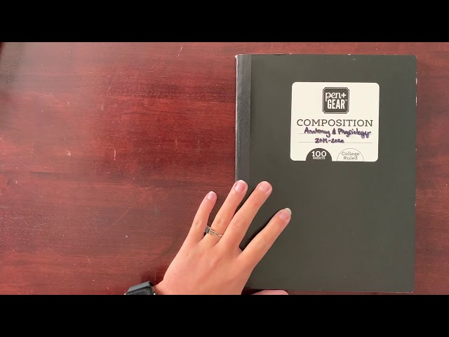 How to set up your interactive notebook