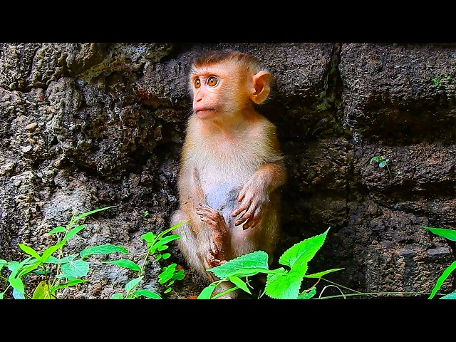 Abandoned baby Kyla begins to learn to live a new life she's never lived before.