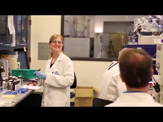 Why come to work at NSF International?
