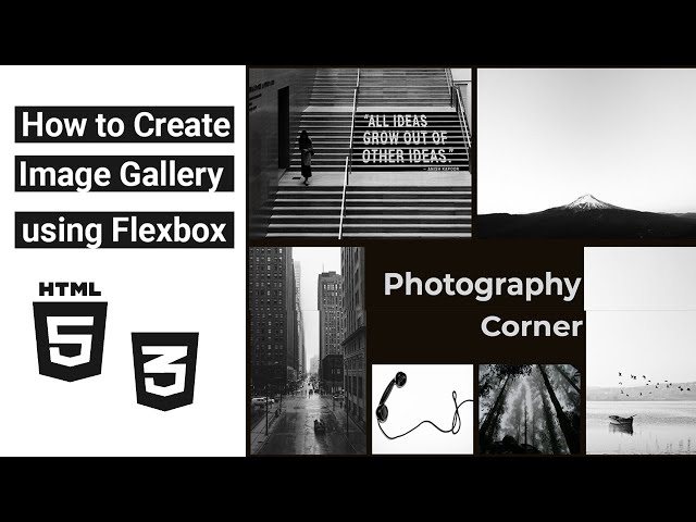 How to Create an Image Gallery Using Flexbox (HTML & CSS Only)