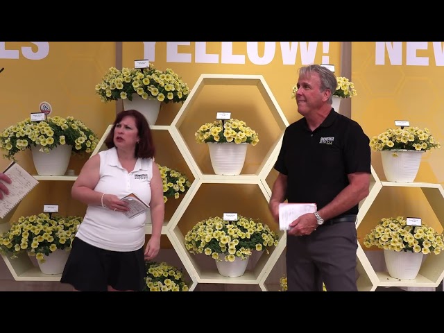 California Spring Trials 2026 Ball FloraPlant