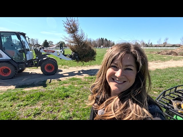 Seedling Tour, Planting & Removing Spruce Trees + Weeding! 🌱🌲🪓 // Garden Answer
