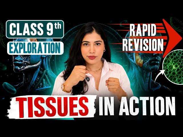 Class 9 | Tissues In Action | Rapid Revision in 30 Minutes | New NCERT Exploration 2026