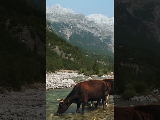 Crystal waters, stunning mountains – Albania has it all🏔️🌊 #nature #albania #documentary #mountain