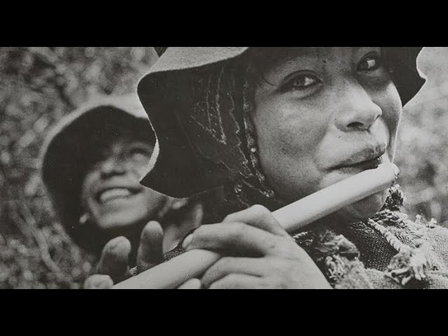 Música andina con zampoñas y quenas: Sonidos mágicos de los Andes