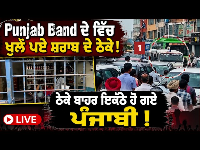 Punjab Band ਦੇ ਵਿੱਚ ਖੁਲ੍ਹੇ ਪਏ ਸ਼ਰਾਬ ਦੇ ਠੇਕੇ। ਠੇਕੇ ਬਾਹਰ ਇਕੱਠੇ ਹੋ ਗਏ ਪੰਜਾਬੀ। Qaumi Insaaf Morcha I