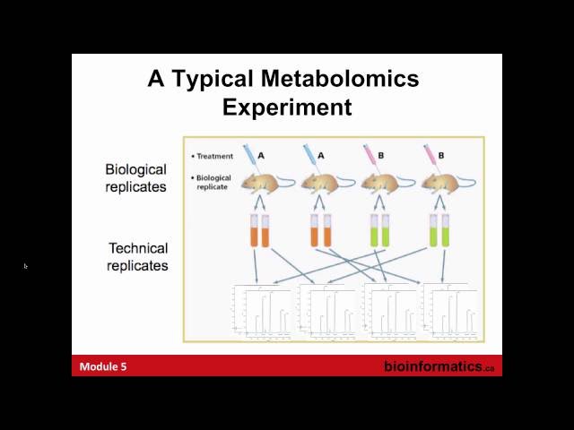 Metabolomic Data Analysis Using MetaboAnalyst