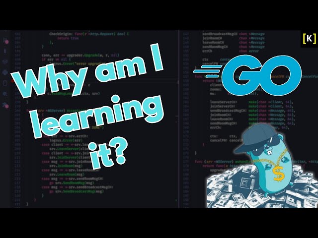 How I choose what to learn? Why I chose Go over Rust? JavaScript developer perspective.