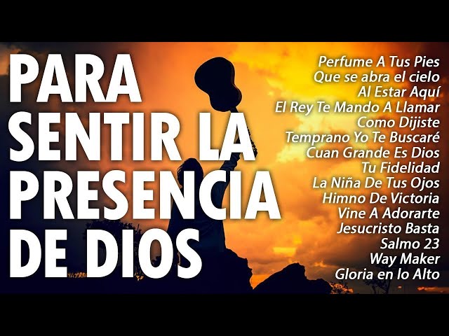 MUSICA CRISTIANA 2024 QUE TRAE PAZ Y TRANQUILIDAD - CANCIONES CRISTIANAS MÁS HERMOSA PARA ORAR