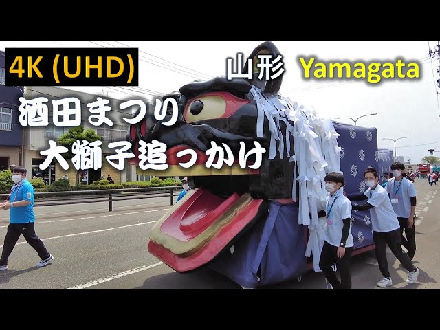 【4K】山形 酒田まつり大獅子 あまりに面白いので追いかけました。