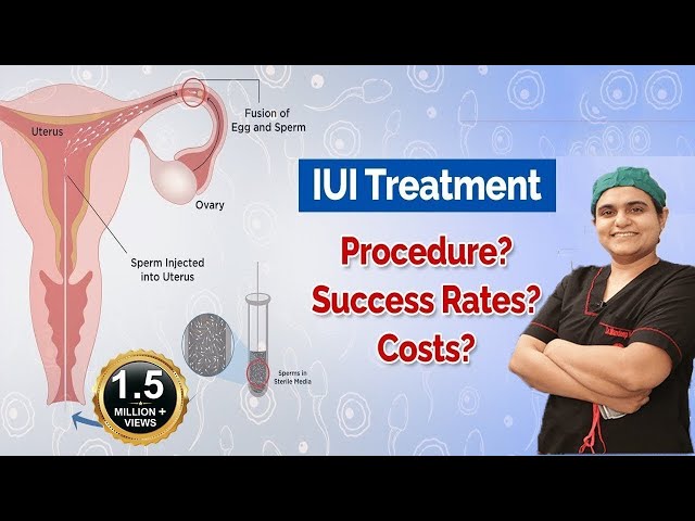 IUI Treatment, For Pregnancy, in Hindi, Cost, Success Tips, is painful, & IUI Meaning in hindi