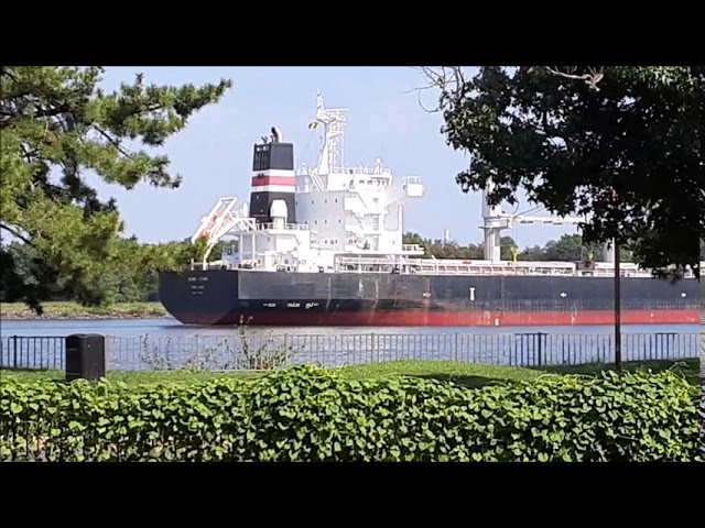 Huge Ship and Cool Tugboat on the Delaware River