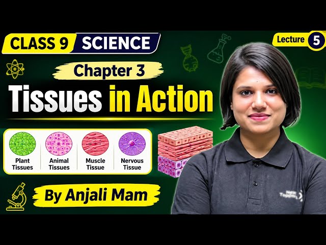 Class 9th Science | Chapter 3 Tissues in Action | Lecture 5 | By Anjali Mam 