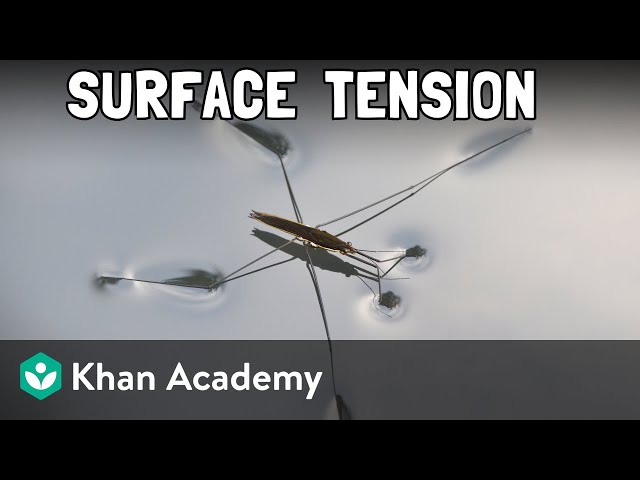 Surface tension | Middle school chemistry | Khan Academy