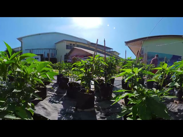 Fertigation System (Virtual Tour Test)