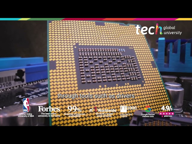 Programming languages and software development processes ❘ TECH Global University