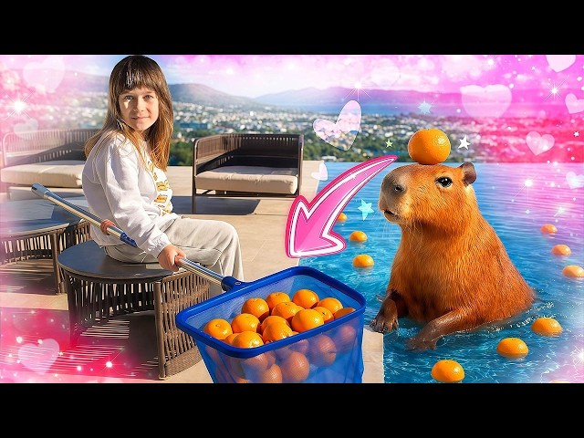 The capybara has fun in a pool full of tangerines