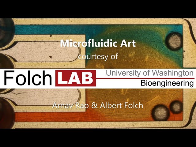 Microfluidic Art (Folch Lab): Jacques Brel's "Ne Me Quitte Pas" (with one-way valves)