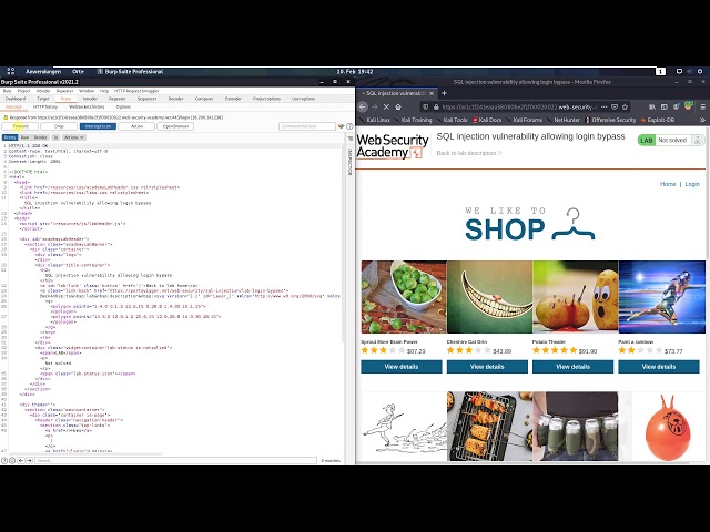 SQL injection vulnerability allowing login bypass (Video solution, Audio)