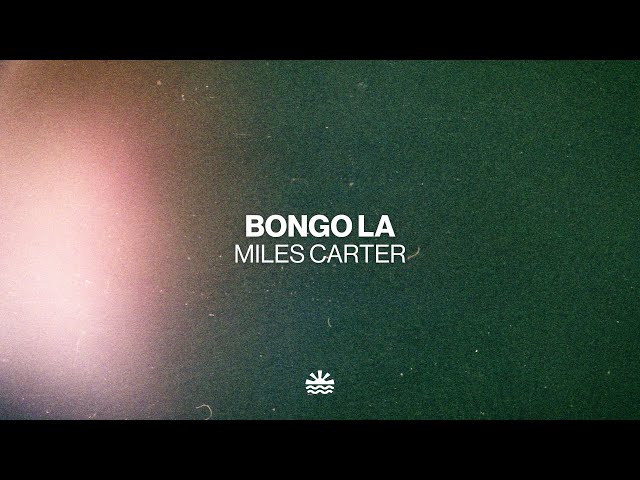 Miles Carter - Bongo La (Music Video)