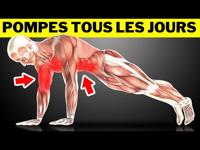 Que se Passera t-il si tu Fais 50 POMPES Par Jour?