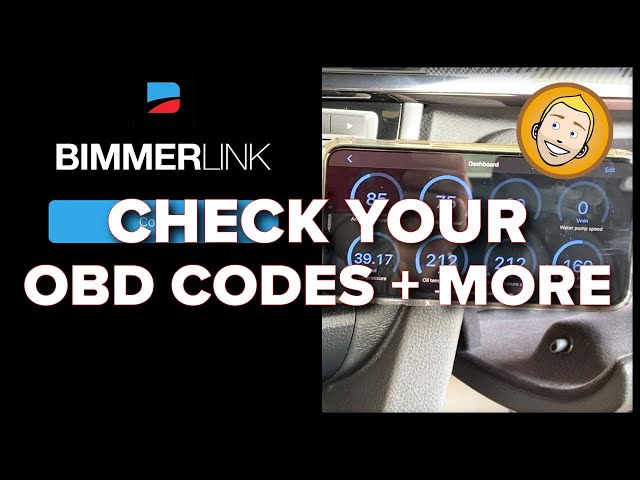 BIMMERLINK for BEGINNERS | How to READ CODES ON YOUR BMW + REGISTER YOUR NEW BATTERY