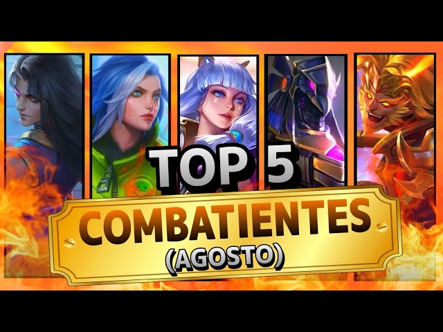 TOP 5 LOS MEJORES COMBATIENTES DESPUES DE LA ACTUALIZACION | Los Mejores Heroes Para EXP