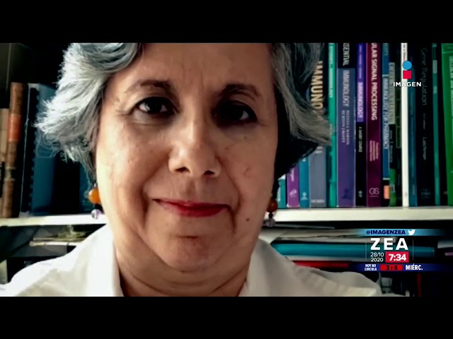 Especialistas del IPN exhortar a atender síntomas de lepra | Noticias con Francisco Zea