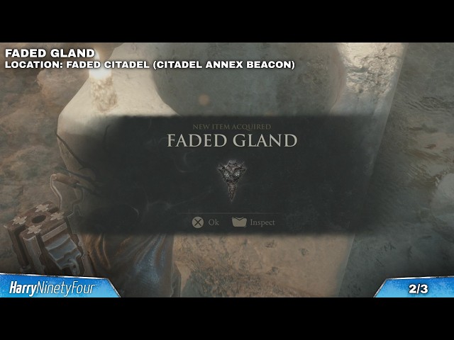 Mortal Shell 2 - All Gland Locations Guide (Seedbearer's Scripture Final Boss Item)