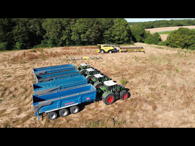 30m de COUPE sur ce CHANTIER de MOISSON avec 3 MACHINES !!!