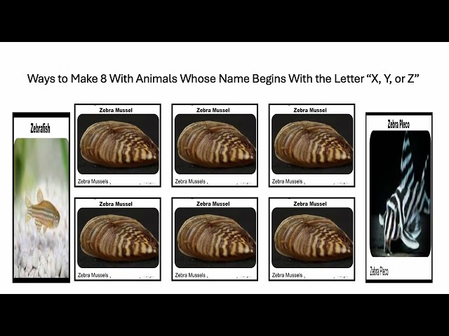 Fun With Numbers by Adding Ways to Make 8 With Animals With Letter "X, Y, or Z" Name #1