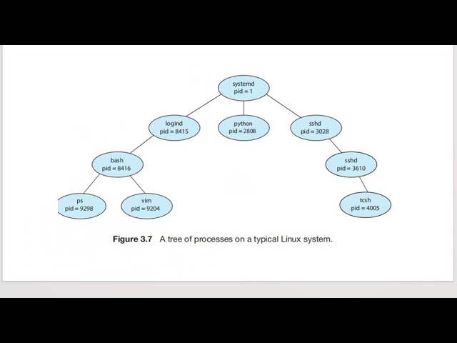 Process Creation